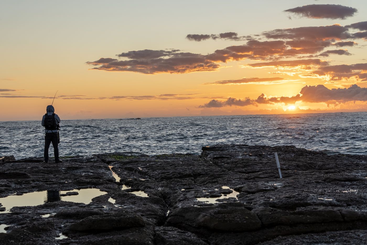 Angler silhouette on the rock platform at sunrise